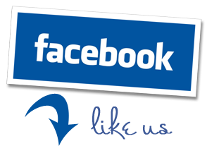 facebook page like us icon